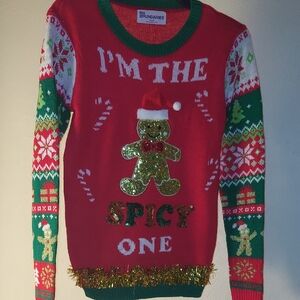 No Boundaries Red Christmas Sweater with Green Glitter Bear